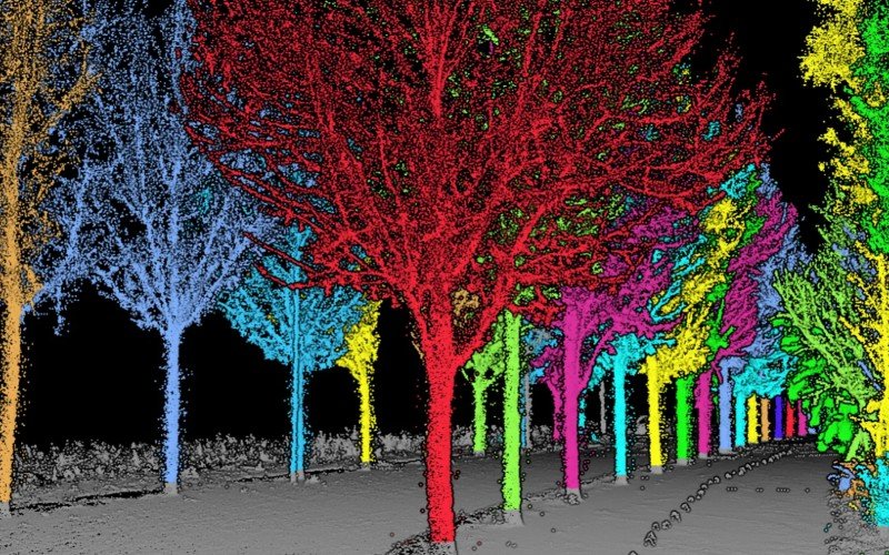 Levantamento LiDAR florestal